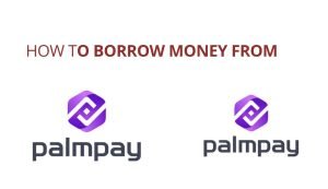 Palmpay Loan: How to Borrow Money From Palmpay App Easily