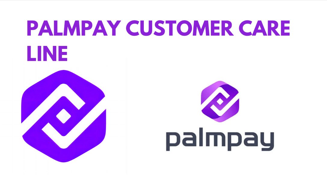 PalmPay Customer Care: Phone Number, Whatsapp Number, Email Address and PalmPay Contact Address