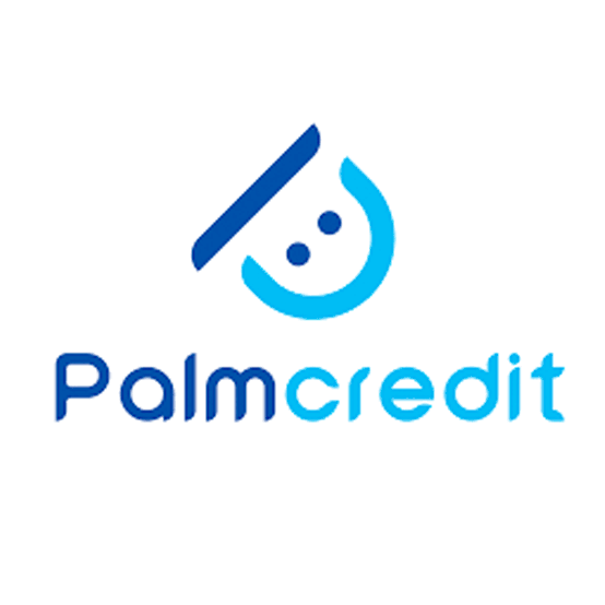 Forgot my Palmcredit Password and Pin - How to Reset, Change and Recover Palmcredit Password and Pin