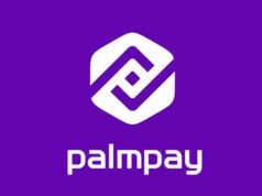 Is Palmpay Safe To Keep Money?, Benefits Of Using Palmpay, Palmpay FAQs